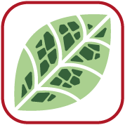 /ca/-/media/images/shared/variety-icons/res_cgmmv.png