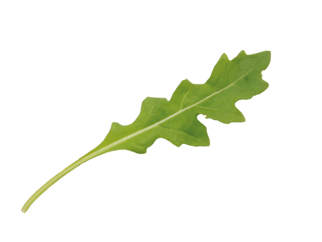 letizia
